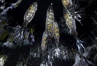 Illustration for article titled This Bizarre Installation Mimics a Real Biological Ecosystem